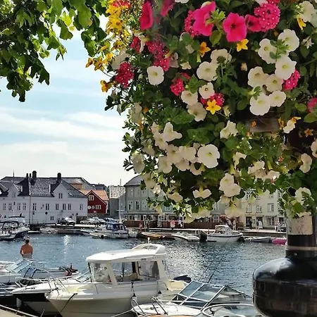 Fantastisk Opplevelse I Sor! Nydelig & Avslappende